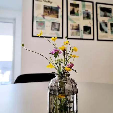 Adventure Oasis Apartament