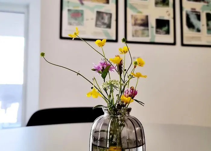 Adventure Oasis דירה